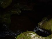 A Cova de Moura. A Veiga, Orense